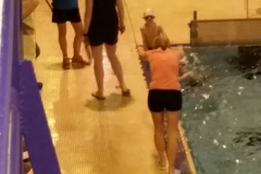 16359233_1760945297264208_2134442222_n
